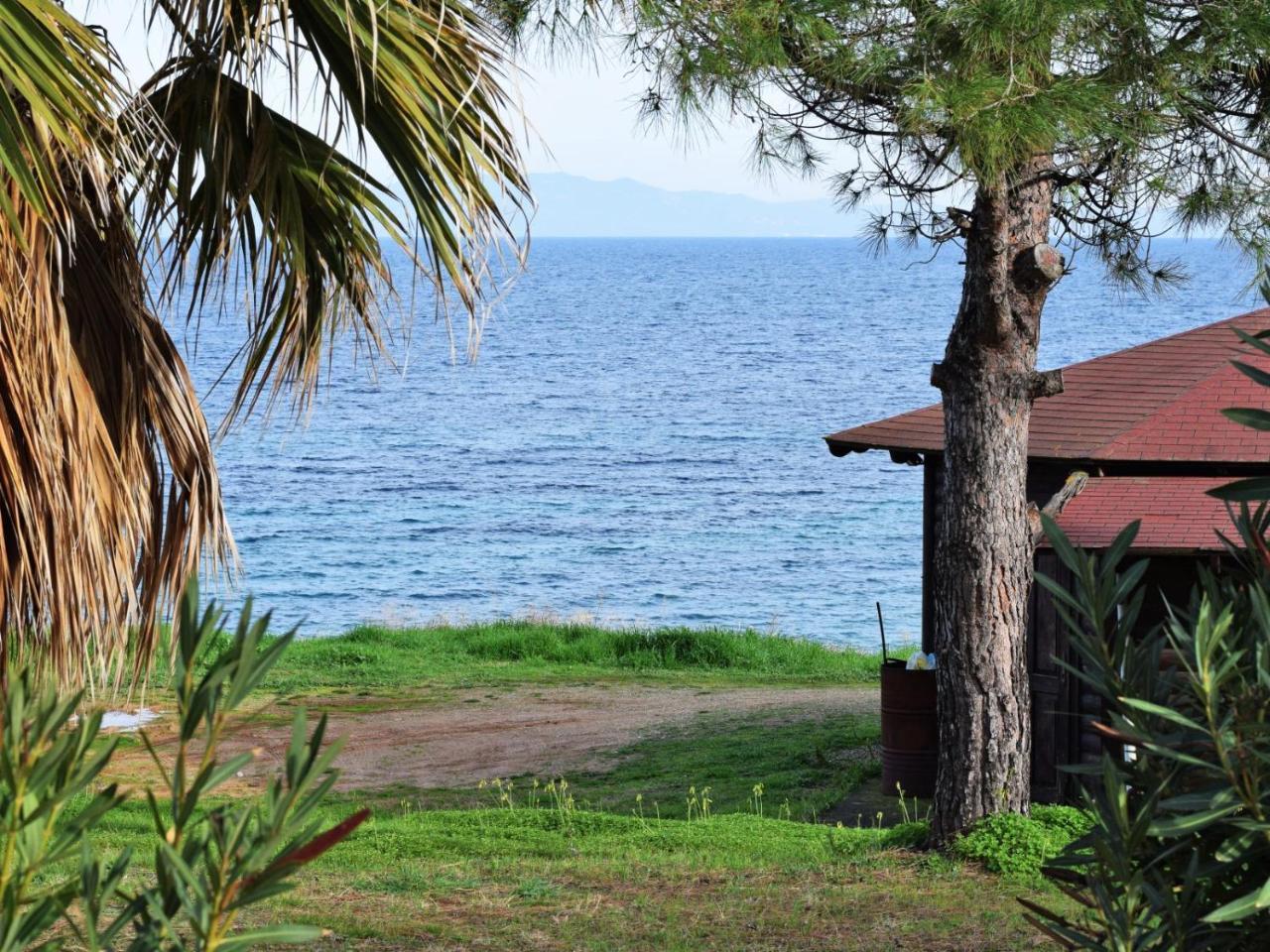Fantasea View By Travelpro Services Nea Fokaia Halkidiki المظهر الخارجي الصورة